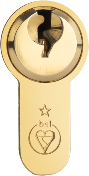 Euro Cylinder Door Lock TS007 1 Star Anti-Snap Gold 3 Keys - NOVA