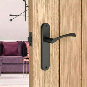 Twist Door Handle Lever on Back Plate | Black
